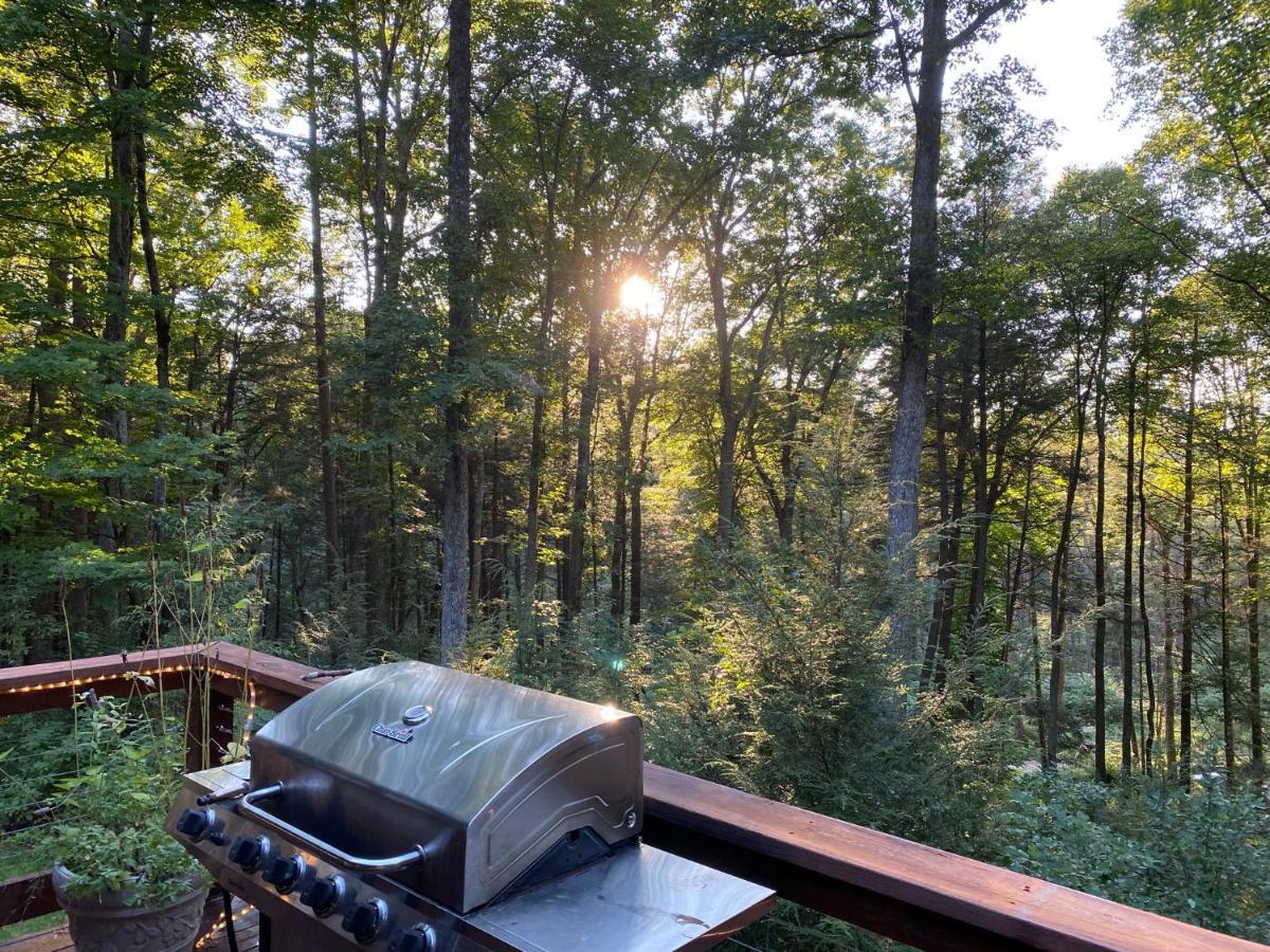 Beautiful Cabin On 83 Acres Near New River Gorge National Park Hico Exteriér fotografie